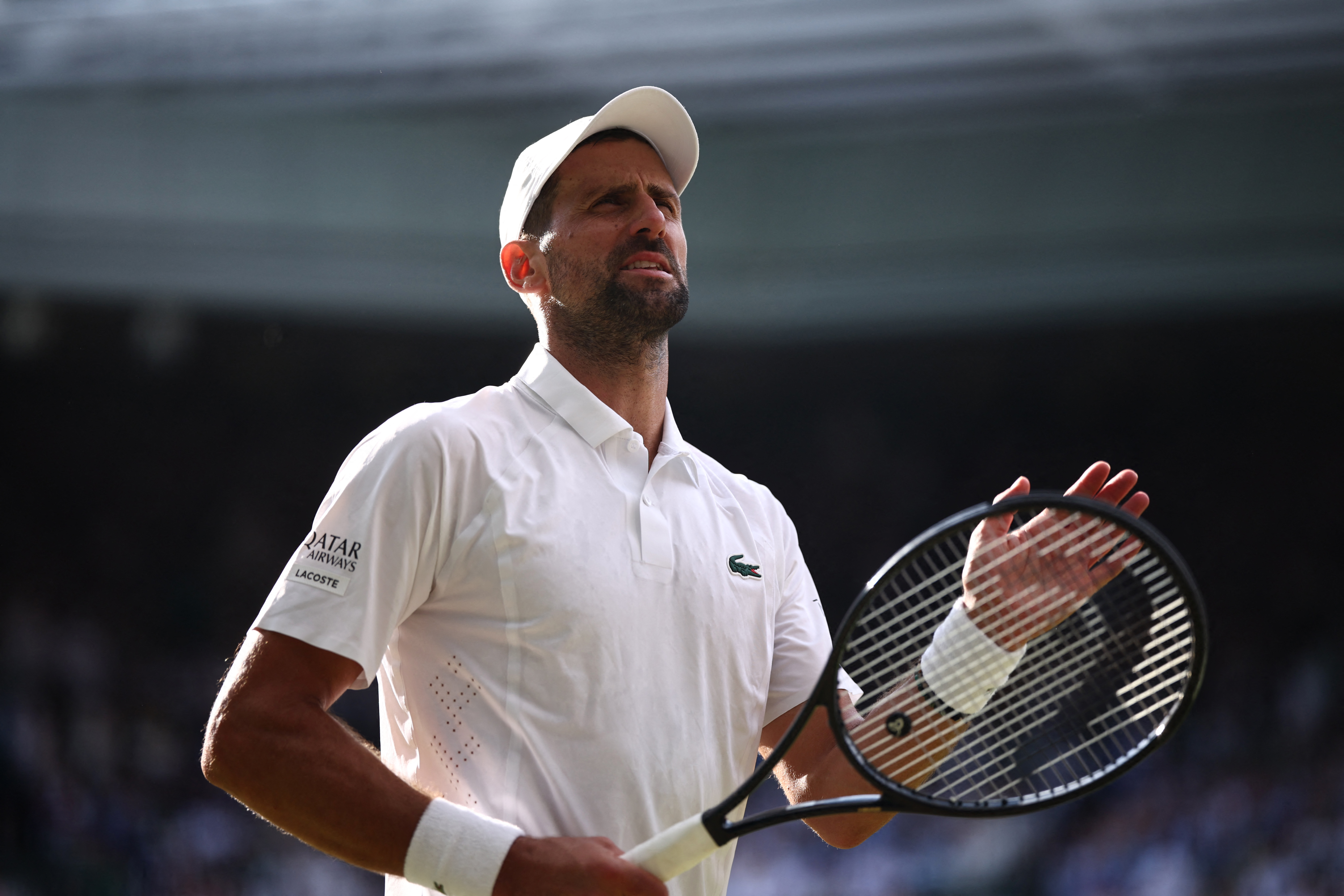 “O Lobo no Inverno”: trailer do documentário de Novak Djokovic é divulgado