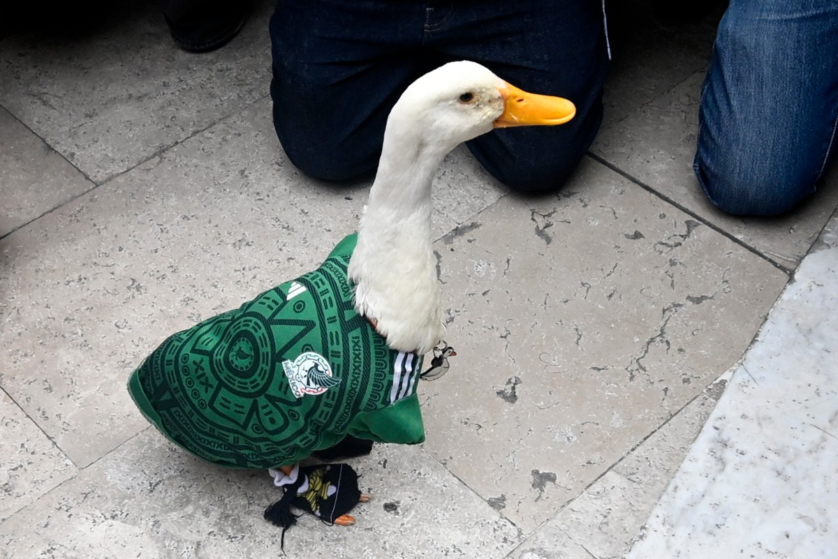 Claudia Sheinbaum recebe pato Merlín, mascote do México na Copa do Mundo